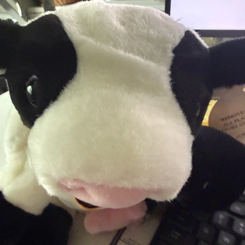 RBI california dairy